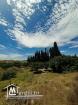 A vendre terrain Agricole