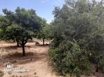 A vendre terrain Agricole