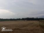terrain agricole a dar allouche