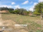 A vendre un terrain de 250 à Hammamet