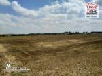 Terrain Agricole Rihane à Vendre à Cherfech, Sidi Thabet