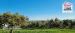 Terrain Agricole Anhar à Vendre à Bizerte
