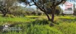Terrain Agricole Anhar à Vendre à Bizerte