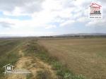 Terrain Agricole Jannet à Vendre à Cherfech, Sidi Thabet