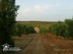 vends terrain agricole