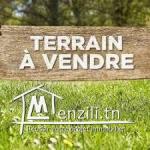 Terrain constructible Manouba