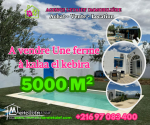 A vendre une ferme à kalaa el kebira.