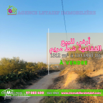 Terrain de 1312m ²a Foukaia Chatt Meriem110.000DT