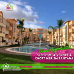 #Àvendre S+3 Haut Standing àChattMeriem