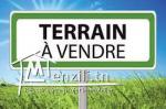 Terrain a vendre a borej el amri