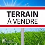 Terrain pour promoteur JINENE ENNASSR2