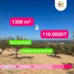 Terrain de belle Vue a Foukaia ChattMeriem