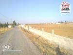 Terrain Agricole Rawiya à Vendre à Borj Amri