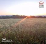 Terrain Villa Nassim à Vendre à Essaida Manouba