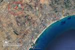 Terrain d’un hectare à Hammamet sud : Investissement à court terme/bâtir une maison.
