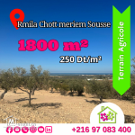 Terrain de 1800 m2  àRmila Chott meriem