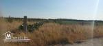 8 titres de 1 hectare sur route principale Utique