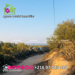 Terrain de 1300 m2 de belle Vue a FoukaiaChattMeriem