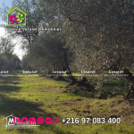 Terrain de 1016m² a Foukaia 85.000