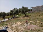 Terrain à vendre à Bizerte cité el weha