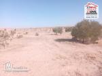 Terrain Agricole Majel Bel Abes à Vendre à Kesserine