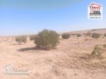 Terrain Agricole Majel Bel Abes à Vendre à Kesserine