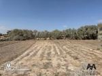 Terrain de 750m² à Jinene Beni Khiar