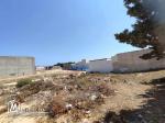 À vendre : Deux terrains à El Haouaria, à seulement 5 minutes à pied de la plage