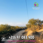 Terrain Agricole de 1300 m2  a Foukaia Chott meriem