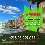 à Vendre Un appartement S1 haut standingChottMeriem