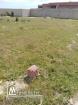 terrain 500m2 à vendre  à borj youssef,