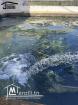 Ferme Productive 15 Hectares A Tebourba
