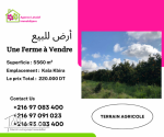 une ferme à Kala Kbira de 5560 m²