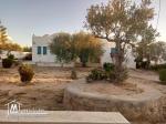 QUATRE VILLAS INDÉPENDANTES À DJERBA MIDOUN route du phare