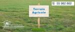 A Vendre Terrain Agricole à Sidi Jedidi, Hammamet Sud