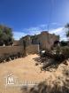 2 villas,houch arabe et écuries à vendre à hachane djerba
