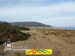 Terrain pieds dans l'eau de 750m2 a la plage el haouaria cap bon