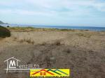 Terrain pieds dans l'eau de 750m2 a la plage el haouaria cap bon