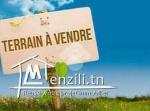 Terrain. A vendre a raoued