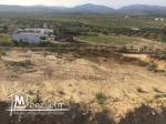 Vente terrain 1000 m2