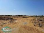 VT708:Des terrains d’habitation à Kelibia