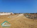 VT708:Des terrains d’habitation à Kelibia