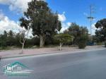 VT812Terrain commercial 580 m² à kelibia