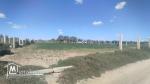 Vente d'un terrain agricole à El Maamoura