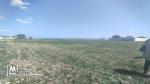 Vente d'un terrain agricole à El Maamoura