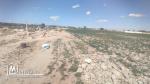 Vente d'un terrain agricole à El Maamoura