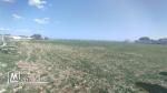 Vente d'un terrain agricole à El Maamoura