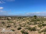 Terrain à vendre à Hammamet