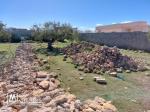 Terrain à vendre à Téboulba (الشراقي)