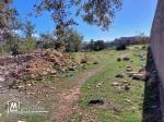 Terrain à vendre à Téboulba (الشراقي)